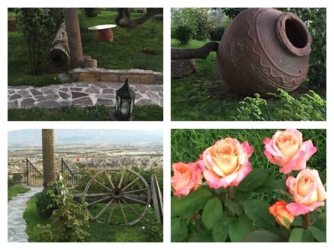  Cultivating Memories: A Turkish Gardener's Tapestry of Life and Nature  - an introspective journey woven through botanical threads, revealing the hidden secrets of a flourishing soul